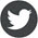 Twitter Icon