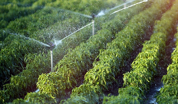 Sprinkler Irrigation 2